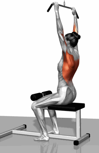 徒手健身简单器具健身3D肌肉锻炼动作动态示意图大全